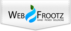 Webfrootz - Web Marketing Agency
